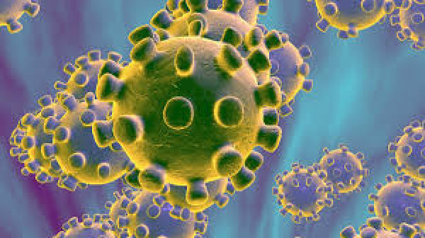 Coronavirus: A case confirmed in Senegal