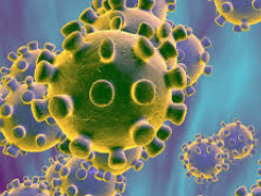 Coronavirus: A case confirmed in Senegal