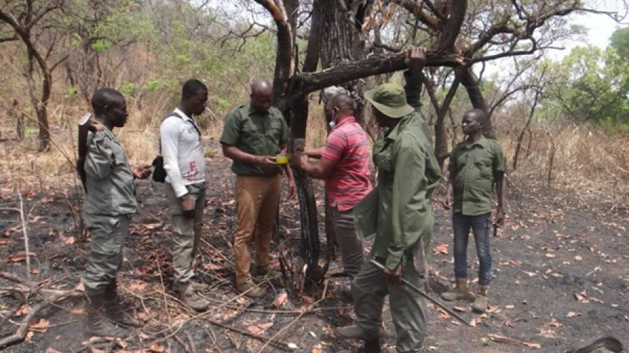 Togo : des ressources allouées pour la gestion durable du Parc Fazao-Malfakassa