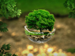 Togo officially joins Global Green Growth Institute
