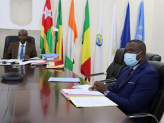 Togolese authorities assess progress made on the African Roots Decade project