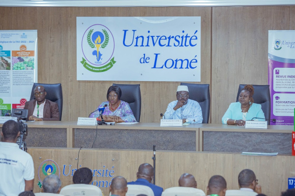 In Lom&eacute;, experts explore communication as a lever for climate action