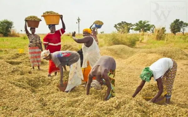 Agriculture : après les Savanes, le FoPAT s’ouvre dans la région maritime