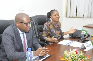 Togo Digitizes 29 Energy Services as Part of Public Sector Reform