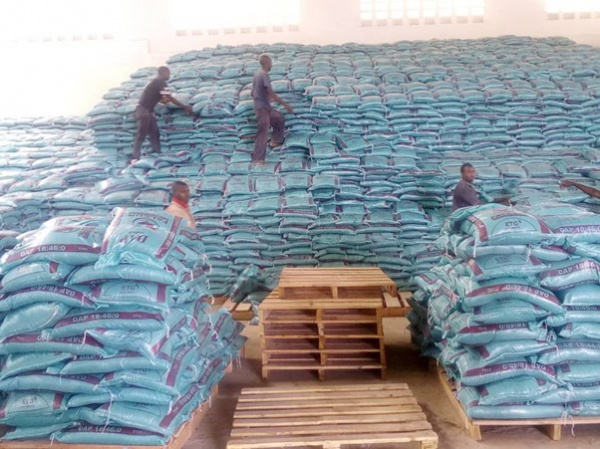 Togo: Government to prefinance fertilizer purchase for farmers