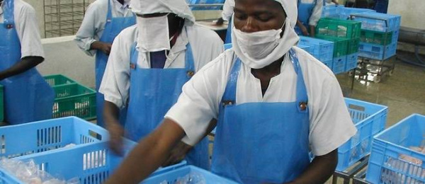 Togo: Lomé to Host the 8th Africa SME Champions Forum Next Month