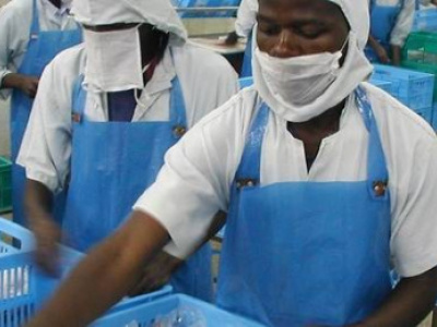 togo-lome-to-host-the-8th-africa-sme-champions-forum-next-month