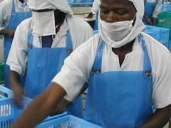 Togo: Lomé to Host the 8th Africa SME Champions Forum Next Month