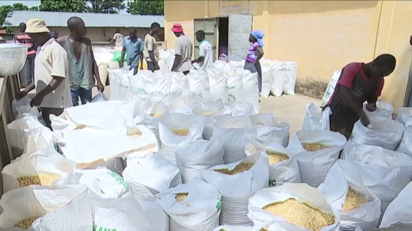Togo&#039;s Food security agency (ANSAT) begins sales