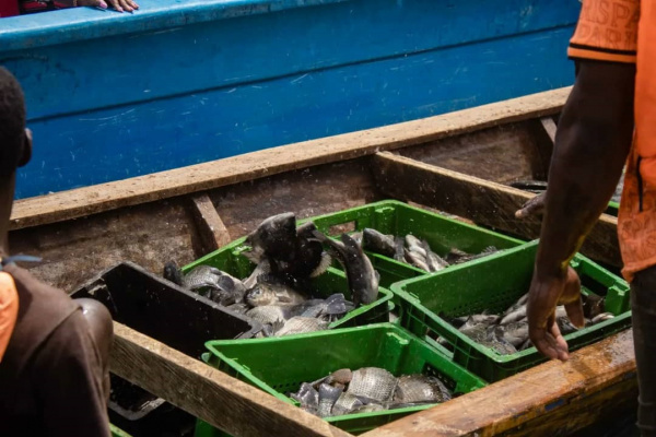 Togo : la pêche suspendue pour 3 mois sur le Lac Nangbéto