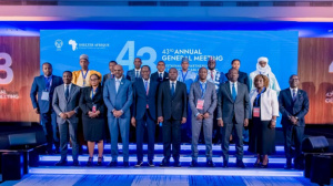 Habitat : Shelter Afrique en passe de devenir une Banque de d&eacute;veloppement