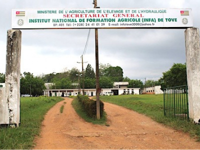 togo-l-infa-de-tove-se-met-a-l-ere-digitale
