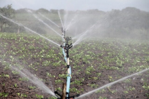 MIFA : des kits d'irrigation pour les exploitants agricoles