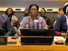 togo-in-new-york-minister-apedoh-anakoma-underscores-the-government-s-efforts-to-empower-women