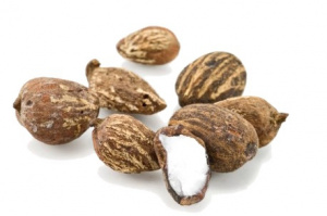 Le PRODAK va &ecirc;tre financ&eacute; &agrave; hauteur de $ 5,6 millions sur trois ans