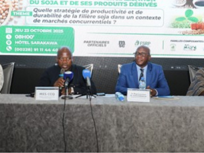 togo-launches-2025-2026-soybean-season-sets-farm-gate-price-at-220-xof-per-kilo