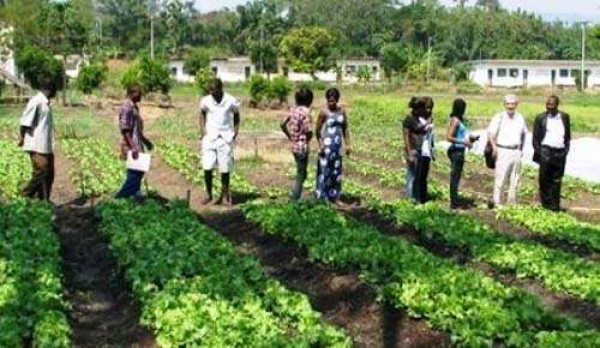 Togo : vers une réorganisation de l’INFA de Tové en ligne avec la nouvelle politique agricole