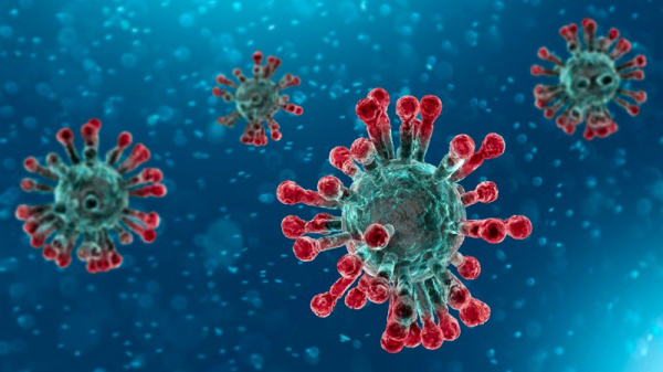 Coronavirus : 1 cas confirmé au Nigéria, le premier d&#039;Afrique de l&#039;Ouest et d&#039;Afrique sub-saharienne