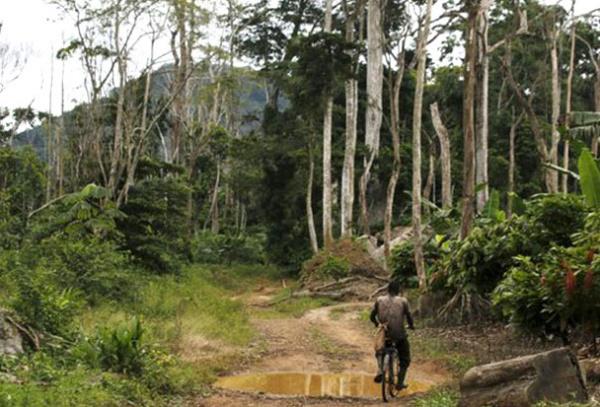 Over 10 years, the UNDP spent about €2.3 million on environmental protection in Togo