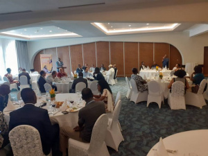 DB 2020 : les performances du Togo en mati&egrave;re de raccordement &agrave; l&rsquo;&eacute;lectricit&eacute; au menu d'une rencontre entre la CEET et ses partenaires