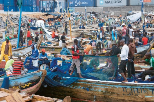 Togo presents artisanal fisheries modernization strategy&nbsp;