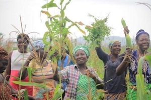 Agropole de la Kara : le projet atteint "sa vitesse de croisi&egrave;re", selon la BAD