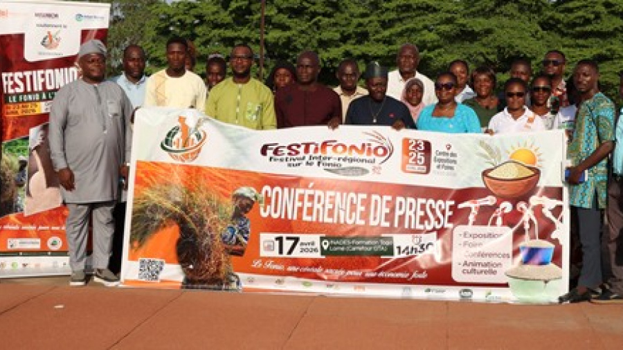 Agriculture : le Togo met le fonio au c&oelig;ur de sa strat&eacute;gie alimentaire avec le FESTIFONIO