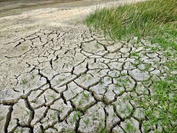 Lomé accueille dès mardi, un séminaire parlementaire sur le changement climatique