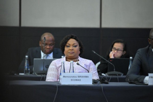 ECOWAS Urges Grid Interconnection and Regulatory Alignment for Energy Transition