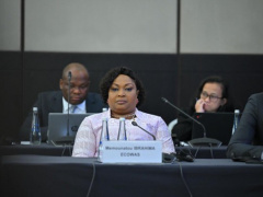 ECOWAS Urges Grid Interconnection and Regulatory Alignment for Energy Transition