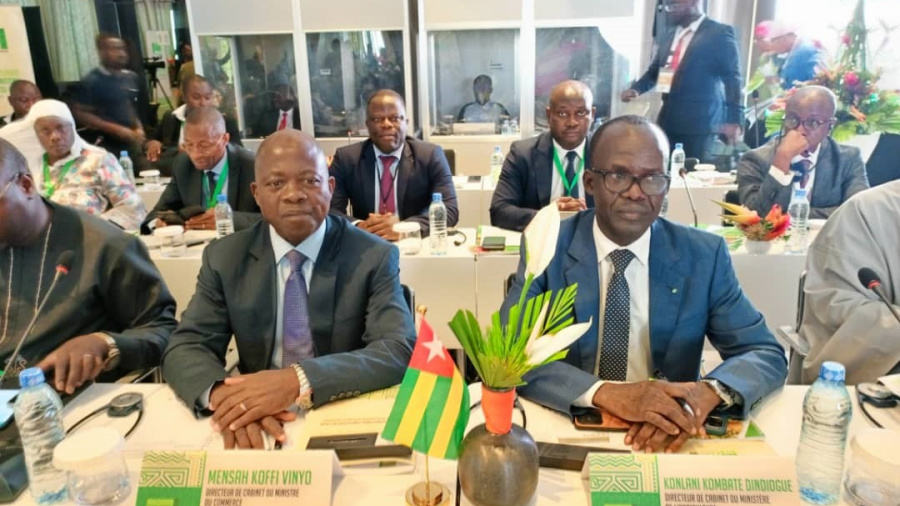 Le Togo présent aux grandes assises régionales du Cajou à Abidjan
