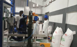 PAEIJ-SP : 17,2 milliards FCFA de financements accord&eacute;s et plus de 55 000 emplois directs cr&eacute;&eacute;s en 5 ans