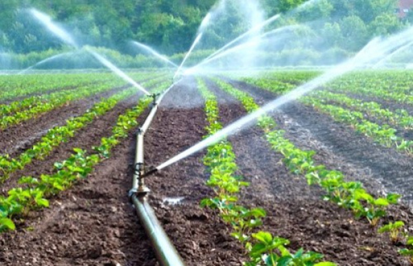 Ces actions clés qui boostent le développement agricole dans la région des Plateaux