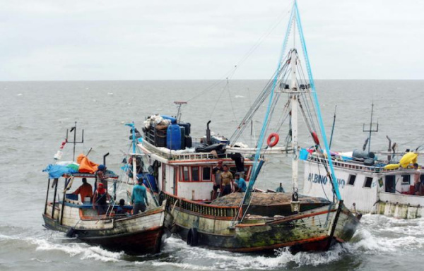 Experts finalize plan to tackle illegal fishing in Togolese waters