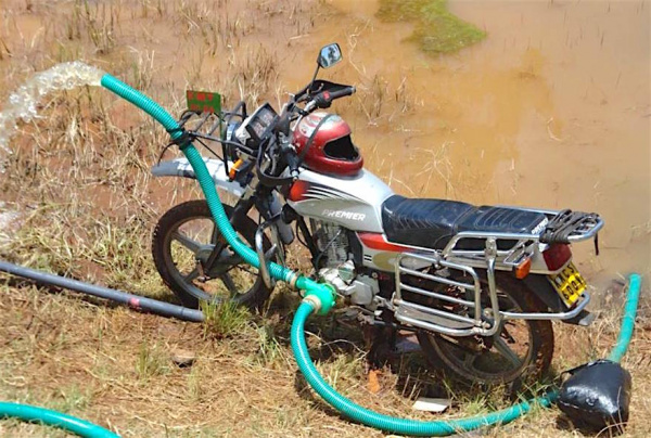 Au Togo, les entrepreneurs agricoles porteurs de propositions innovantes recevront des financements au titre du PASA