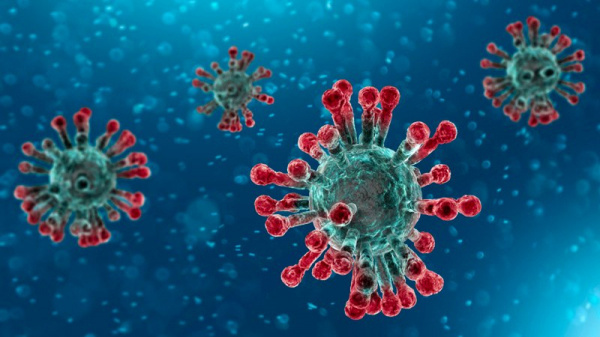 Coronavirus : A first case confirmed in Nigeria, first in West Africa and sub-Saharan Africa also