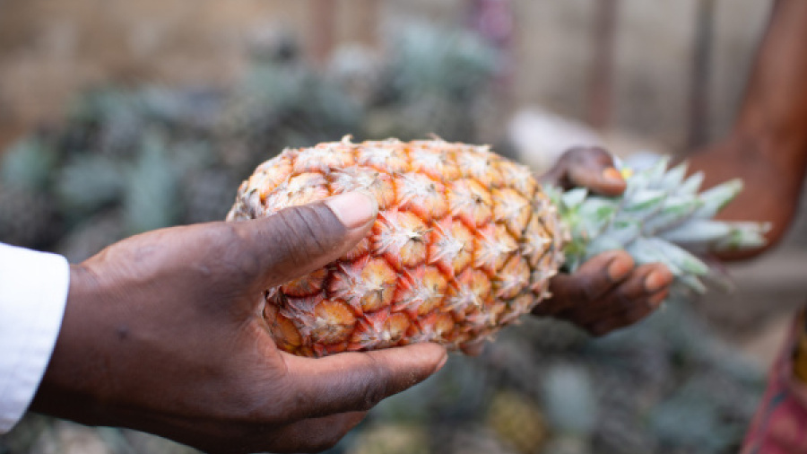 togo-launches-sme-selection-under-afdb-backed-agricultural-value-chain-program
