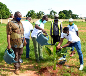 La Maison des Jeunes de Lom&eacute; vire au vert