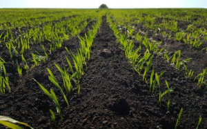 Coronavirus&nbsp;: le Togo lance des mesures d&rsquo;urgence pour soutenir la campagne agricole et booster la production