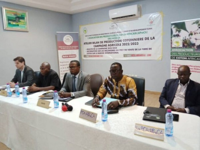lome-hosts-a-key-meeting-focused-on-professionalizing-the-african-cotton-sector