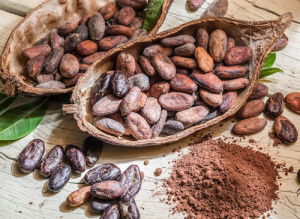 Togo : les exportations de cacao ont presque tripl&eacute; au premier trimestre 2019