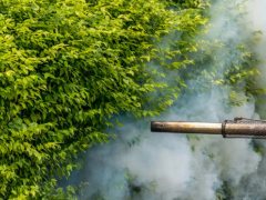 Environment: Togo Updates its Strategy for Implementing the Stockholm Convention