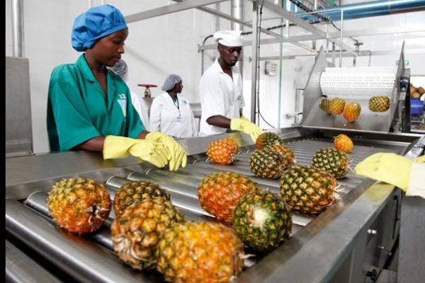 Togo: African Lease secures CFA19.7 bln IFC-backed facility for SMEs