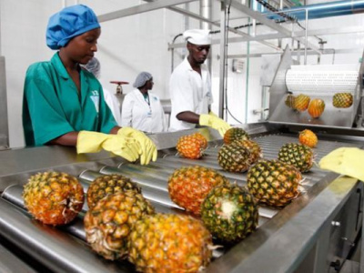 togo-african-lease-secures-cfa19-7-bln-ifc-backed-facility-for-smes