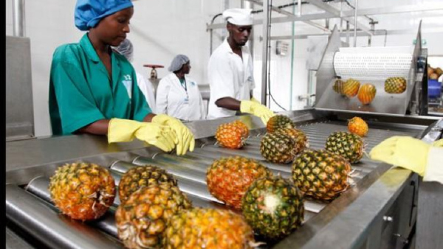 togo-african-lease-secures-cfa19-7-bln-ifc-backed-facility-for-smes