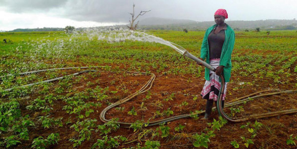 Togo and Khalifa fund ink $15 million deal to boost agriculture in the West African country