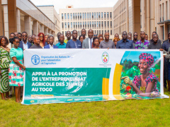 Togo Bets on Youth to Revitalize Agriculture with New FAO-Backed Program