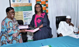 Togo :  le PNUD appuie 16 OSC avec pr&egrave;s de 300 millions FCFA