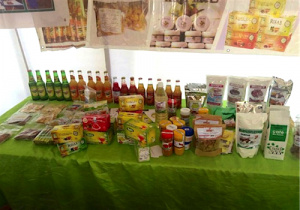 Deux jeunes champions de l&rsquo;Entrepreneuriat portent les couleurs du Togo au FEJIP de Bamako