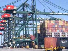 Lomé Port Records Modest Growth in 2024 Fueled by Strong Transshipment